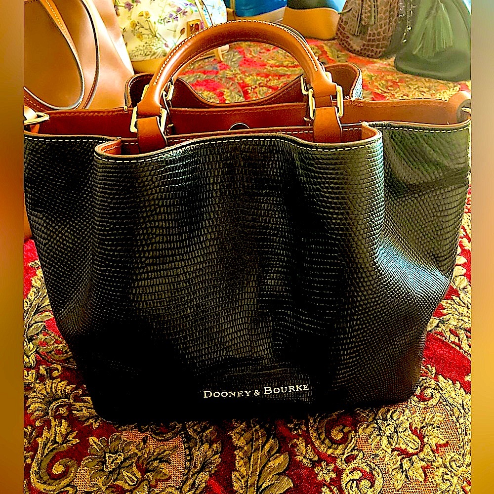 Dooney and Bourke beautiful lizard, Barlow